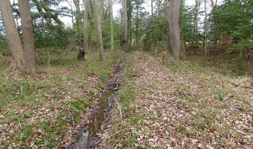 Photo of REDUCED!  65 Acre Working Farm For Sale in Accomack County VA!