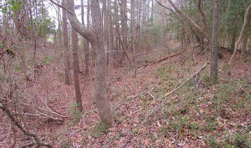 Photo of REDUCED!  65 Acre Working Farm For Sale in Accomack County VA!