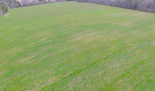 Photo of REDUCED!  65 Acre Working Farm For Sale in Accomack County VA!