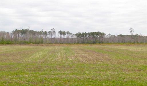 Photo of SOLD!! 63 Acre Working Farm For Sale in Accomack County VA!