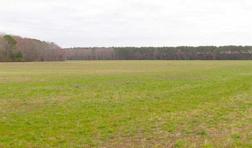 Photo of SOLD!! 63 Acre Working Farm For Sale in Accomack County VA!
