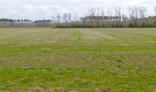 Photo of SOLD!! 63 Acre Working Farm For Sale in Accomack County VA!