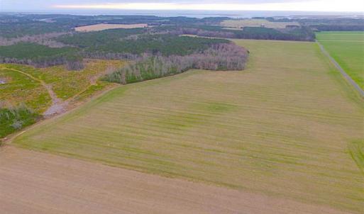Photo of SOLD!! 63 Acre Working Farm For Sale in Accomack County VA!