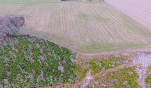 Photo of SOLD!! 63 Acre Working Farm For Sale in Accomack County VA!