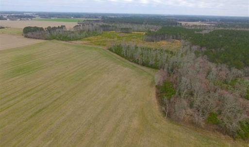 Photo of SOLD!! 63 Acre Working Farm For Sale in Accomack County VA!