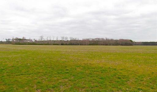 Photo of SOLD!! 63 Acre Working Farm For Sale in Accomack County VA!