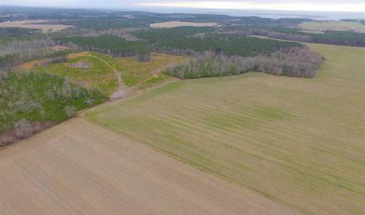 Photo of SOLD!! 63 Acre Working Farm For Sale in Accomack County VA!