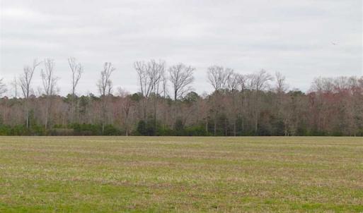 Photo of SOLD!! 63 Acre Working Farm For Sale in Accomack County VA!