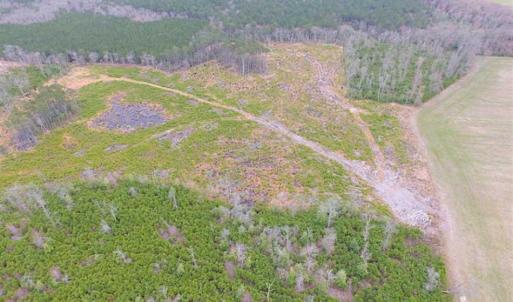 Photo of SOLD!! 63 Acre Working Farm For Sale in Accomack County VA!
