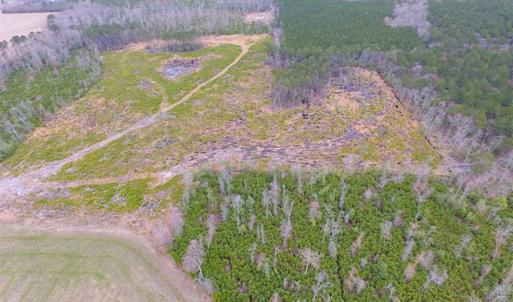 Photo of SOLD!! 63 Acre Working Farm For Sale in Accomack County VA!