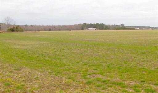 Photo of SOLD!! 63 Acre Working Farm For Sale in Accomack County VA!