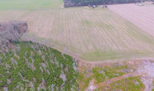 Photo of SOLD!! 63 Acre Working Farm For Sale in Accomack County VA!