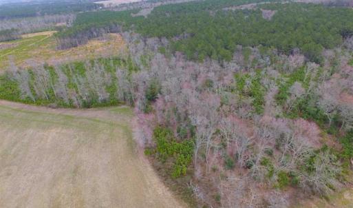 Photo of SOLD!! 63 Acre Working Farm For Sale in Accomack County VA!