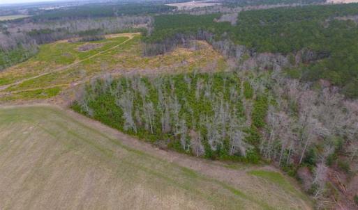 Photo of SOLD!! 63 Acre Working Farm For Sale in Accomack County VA!