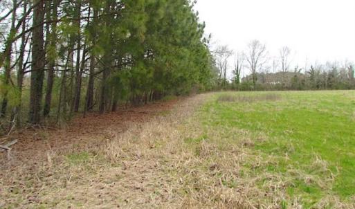 Photo of SOLD!!  20 Acres of  Farm and Timber Land For Sale in Accomack County VA!