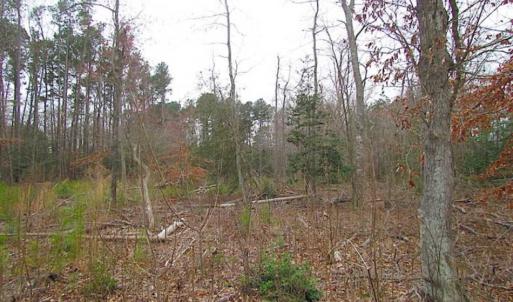 Photo of SOLD!!  20 Acres of  Farm and Timber Land For Sale in Accomack County VA!