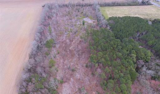 Photo of SOLD!!  20 Acres of  Farm and Timber Land For Sale in Accomack County VA!