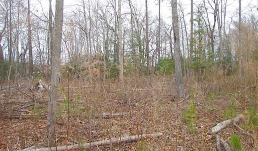 Photo of SOLD!!  20 Acres of  Farm and Timber Land For Sale in Accomack County VA!