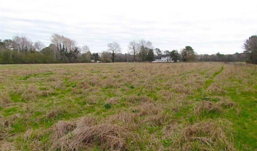 Photo of SOLD!!  20 Acres of  Farm and Timber Land For Sale in Accomack County VA!