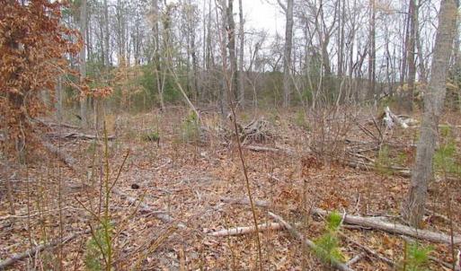 Photo of SOLD!!  20 Acres of  Farm and Timber Land For Sale in Accomack County VA!