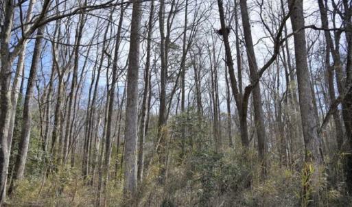 Photo of SOLD!!  26 Acres of Farm and Timber Land For Sale in Pitt County NC!