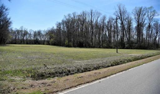 Photo of SOLD!!  26 Acres of Farm and Timber Land For Sale in Pitt County NC!