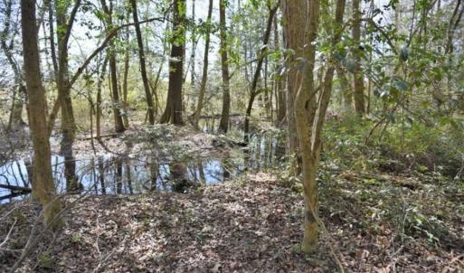 Photo of SOLD!!  26 Acres of Farm and Timber Land For Sale in Pitt County NC!