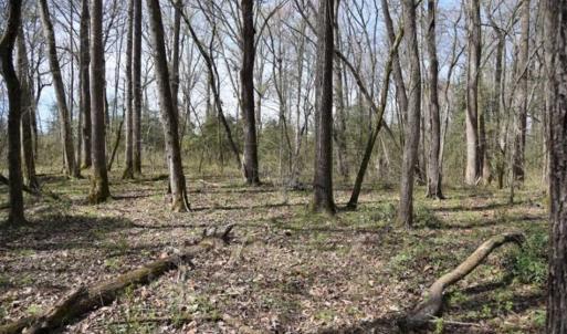 Photo of SOLD!!  26 Acres of Farm and Timber Land For Sale in Pitt County NC!