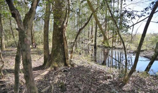 Photo of SOLD!!  26 Acres of Farm and Timber Land For Sale in Pitt County NC!