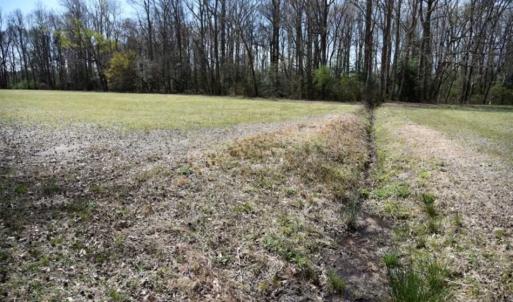 Photo of SOLD!!  26 Acres of Farm and Timber Land For Sale in Pitt County NC!