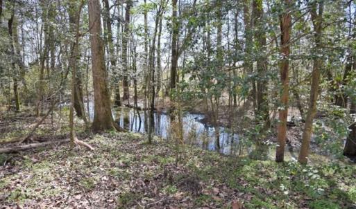 Photo of SOLD!!  26 Acres of Farm and Timber Land For Sale in Pitt County NC!