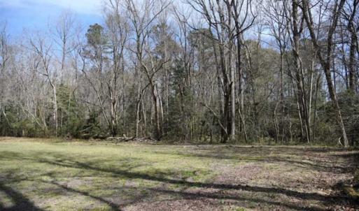 Photo of SOLD!!  26 Acres of Farm and Timber Land For Sale in Pitt County NC!