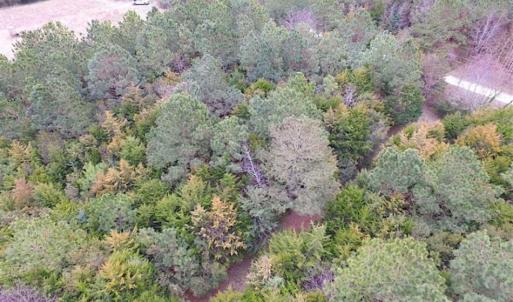 Photo of SOLD!!  69 Acres of Land with Farm House and Great Views in Accomack County VA!