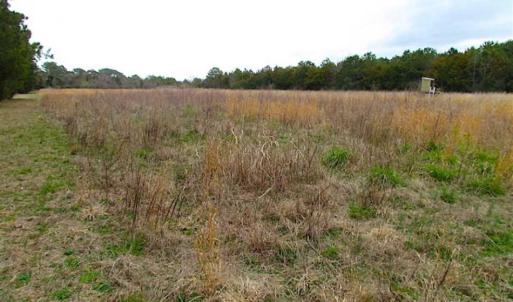 Photo of SOLD!!  69 Acres of Land with Farm House and Great Views in Accomack County VA!