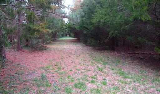 Photo of SOLD!!  69 Acres of Land with Farm House and Great Views in Accomack County VA!