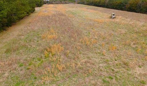 Photo of SOLD!!  69 Acres of Land with Farm House and Great Views in Accomack County VA!