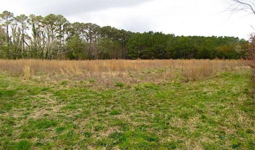 Photo of SOLD!!  69 Acres of Land with Farm House and Great Views in Accomack County VA!