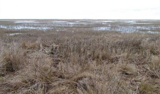Photo of SOLD!!  69 Acres of Land with Farm House and Great Views in Accomack County VA!