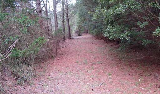 Photo of SOLD!!  69 Acres of Land with Farm House and Great Views in Accomack County VA!