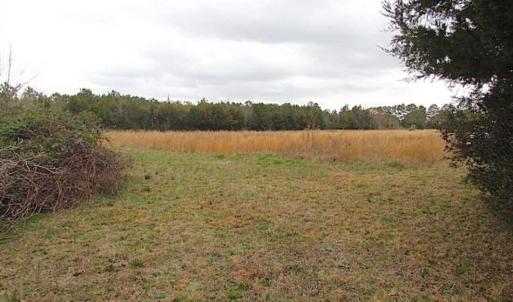 Photo of SOLD!!  69 Acres of Land with Farm House and Great Views in Accomack County VA!