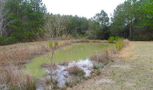 Photo of SOLD!!  69 Acres of Land with Farm House and Great Views in Accomack County VA!
