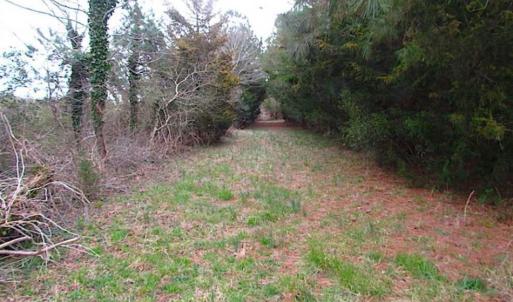 Photo of SOLD!!  69 Acres of Land with Farm House and Great Views in Accomack County VA!