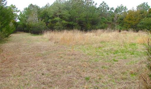 Photo of SOLD!!  69 Acres of Land with Farm House and Great Views in Accomack County VA!