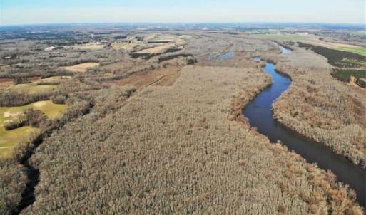 Photo of UNDER CONTRACT!!  660 Acres of Hunting and Timber Land For Sale in Pitt County NC!