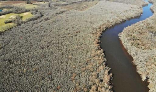 Photo of UNDER CONTRACT!!  660 Acres of Hunting and Timber Land For Sale in Pitt County NC!