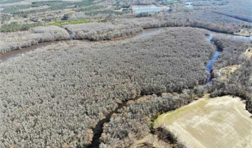 Photo of UNDER CONTRACT!!  660 Acres of Hunting and Timber Land For Sale in Pitt County NC!