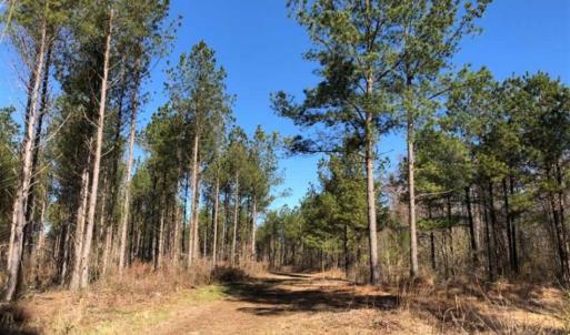 Photo of UNDER CONTRACT!!  660 Acres of Hunting and Timber Land For Sale in Pitt County NC!