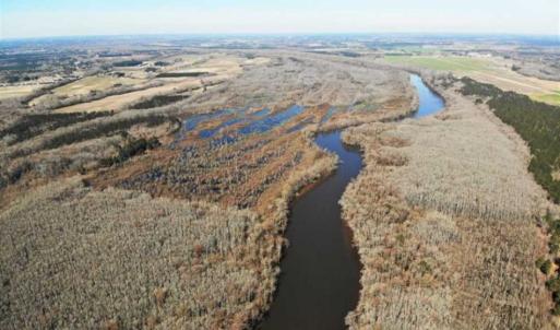 Photo of UNDER CONTRACT!!  660 Acres of Hunting and Timber Land For Sale in Pitt County NC!