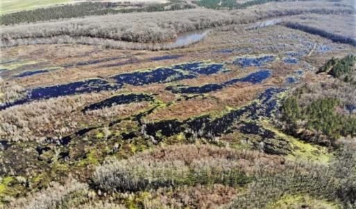 Photo of UNDER CONTRACT!!  660 Acres of Hunting and Timber Land For Sale in Pitt County NC!