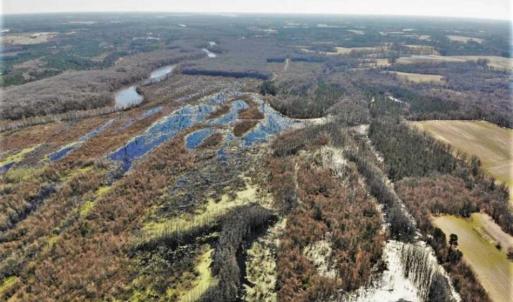 Photo of UNDER CONTRACT!!  660 Acres of Hunting and Timber Land For Sale in Pitt County NC!